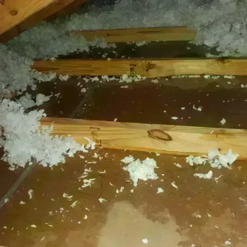 Attic Water Damage in Beaverhead County, MT